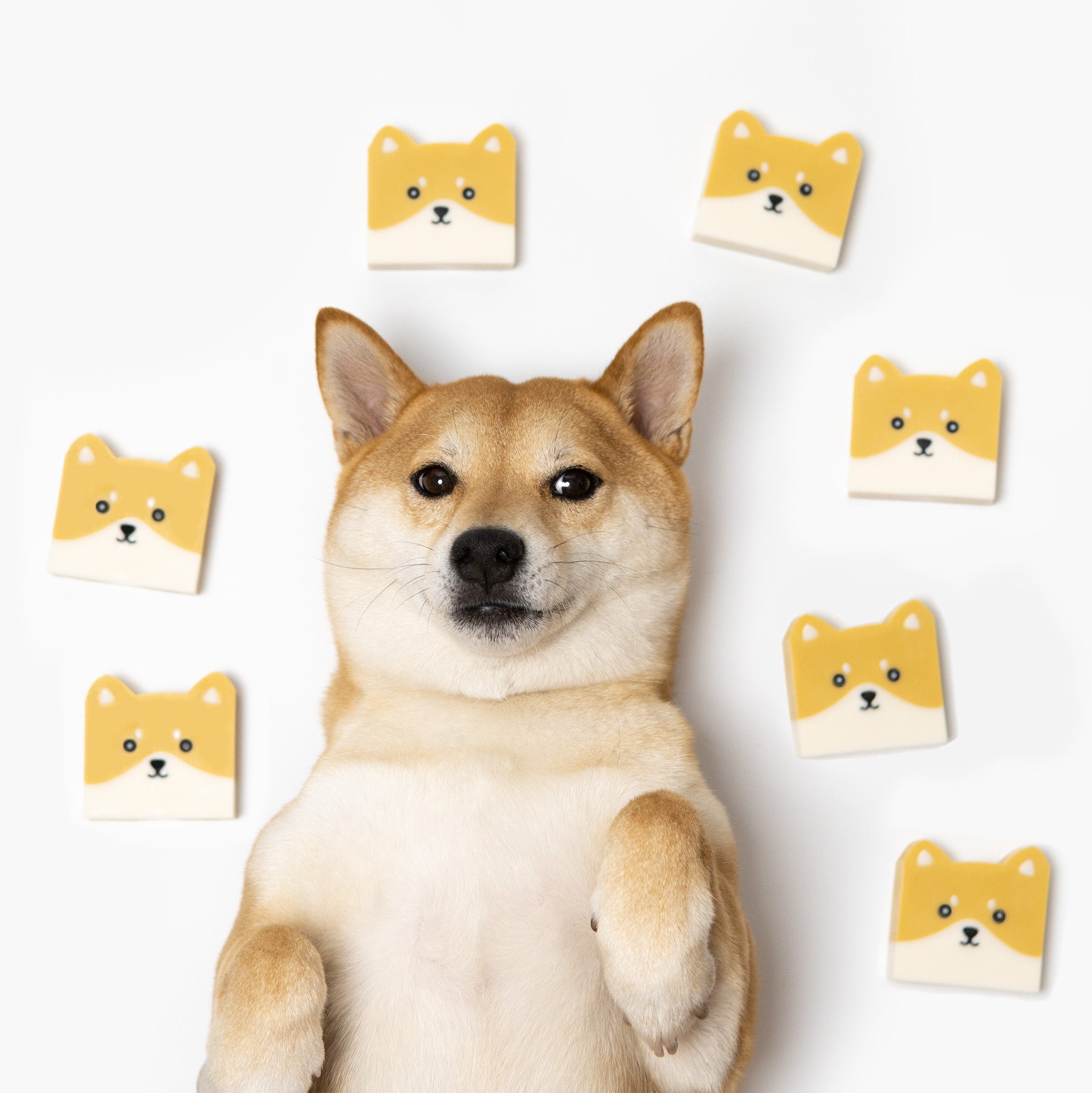 Shibar - Cold Process Soap for Shiba Lover | Uni & Nori – Uni and Nori