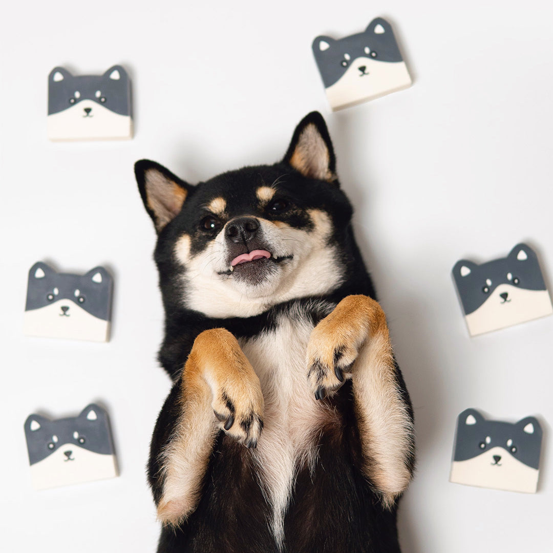 Shibar - Cold Process Soap for Shiba Lover | Uni & Nori – Uni and Nori